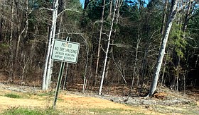 Photo detail