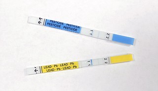 Lead tests on the water sources of central Jackson schools will be in the next round of testing, Jackson Public School District representatives said.