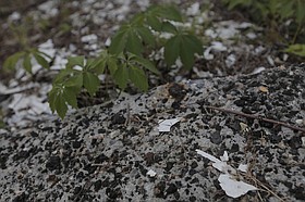 Photo detail