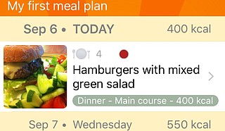 Avacado meal planner