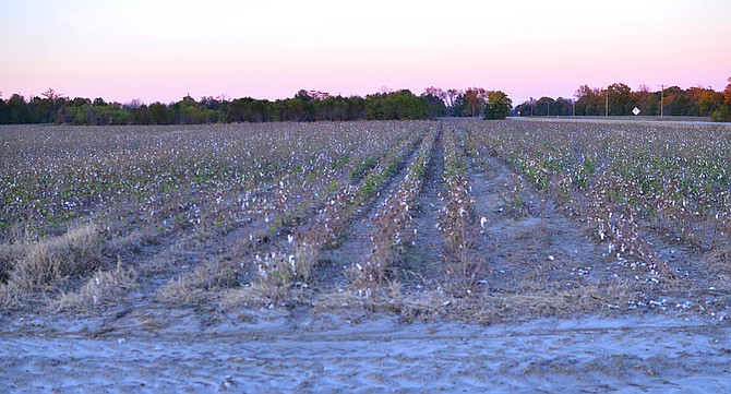 The Delta region was one of the richest cotton-producing areas in the nation and entirely dependent on the labor of slaves, who comprised the vast majority of the population in these counties before the Civil War. Photo courtesy James Trimarco