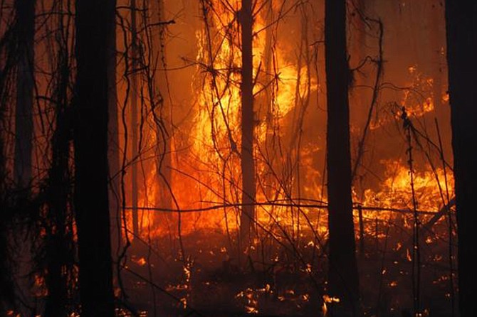 Sixty-nine counties in Mississippi are under a burn ban, largely due to increased drought conditions in the state and throughout the south. Photo courtesy Mississippi Forestry Commission