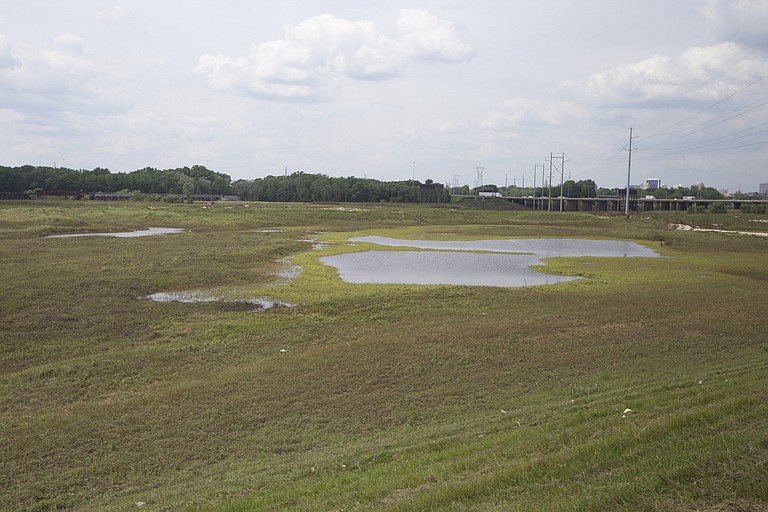 Representatives pushing the “One Lake” project, which will flood parts of the Pearl River and surrounding wetlands (including the area pictured), say their project will have little to no environmental impact on areas downstream. 