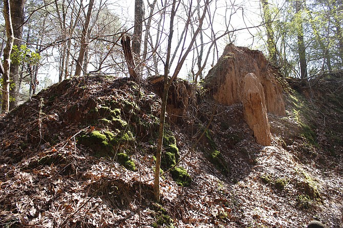 Use this summer to check out notable sites around the state, such as the Mississippi Petrified Forest in Flora.