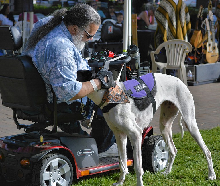 House Bill 944 says veterans with post-traumatic stress disorder could have support animals in hotels, businesses and other places. Photo courtesy Flickr/swong95765