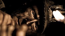 photo thumbnail