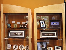 Photo detail