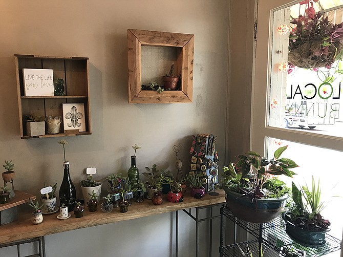 Local Bunny Market sells herbal tea, natural skin-care products, handmade soap, T-shirts, purses, artwork, houseplants, succulents, hanging plant baskets and more.