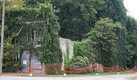 Photo detail