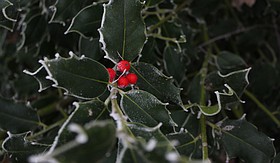 Photo detail