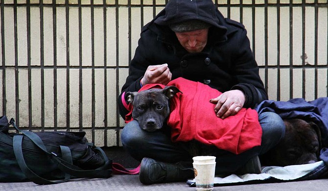 We can do more to end homelessness, says Rev. Jill Buckley of Stewpot, through working together and having more partners at the table. Photo by Nick Fewings on Unsplash