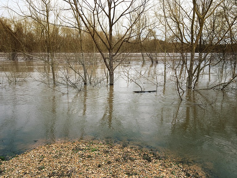 A community meeting will be held to collect information, concerns, suggestions, solutions, and recommendations to address the flooding in West Central Jackson. Photo by Kristin Brenemen