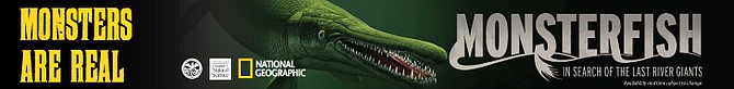 Photo detail