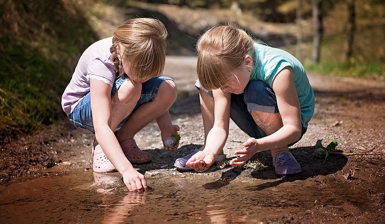 Mississippi is rife with creeks and riverbeds full of tadpoles, perfect for the first of Baker’s list of ’70s-inspired summer activities for kids, growing frogs. Photo courtesy Pixbay