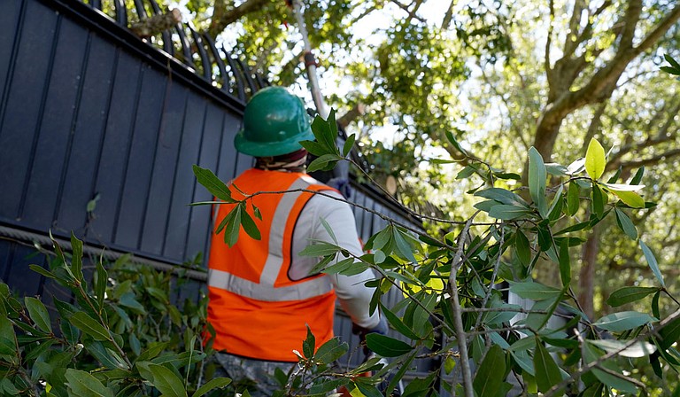 Franchot Canaan, Vectrus ground landscaping maintainer, removes dangerous branches at Keesler Air Force Base, Mississippi, Oct. 29, 2020. Members of the 81st Civil Engineering Squadron and Vectrus worked before, during and after Hurricane Zeta to ensure the base infrastructure was able to sustain the wind and rain during the storm. U.S. Air Force photo by Airman 1st Class Seth Haddix