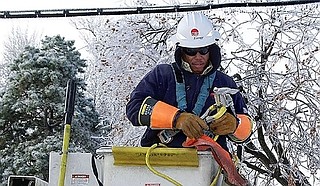 An Entergy lineman works to restore power. Fallen frozen tree limbs damaged power lines across the city. Workers must remove the tree limbs before they can restore power. Photo courtesy Entergy