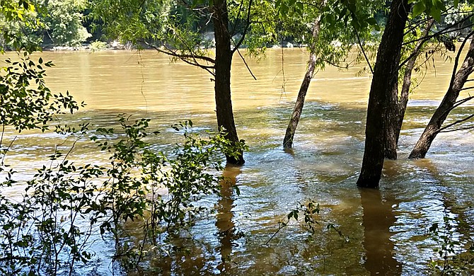 People are being advised for the third year in a row to avoid swimming, fishing and other recreational activities in the river and creeks in Mississippi's capital city, after a recent evaluation from the state environmental agency. Photo by Zilpha Young