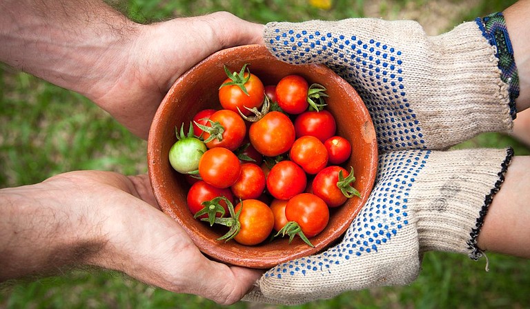 Editorial Assistant Shaye Smith views Mississippians as generous people who care about their neighbors and take care of one another. As such, she encourages residents to receive their COVID vaccines to reduce chances of viral mutation and a prolonged pandemic—a way to stop the “virus-animal,” she writes. Photo Elaine Casap Unsplash