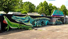 Photo detail