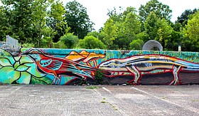 Photo detail