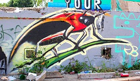 Photo detail