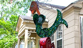 Photo detail