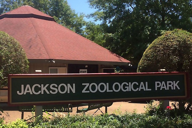 Mississippi Heritage Trust named the Jackson Zoo as one of its 2021 10 most endangered historic places. The zoo has been in its current Livingston Park location on West Capitol Street since 1921. Photo courtesy Jackson Zoo