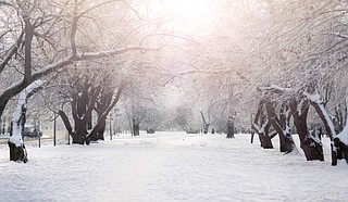 A powerful, late-winter storm combining rivers of moisture and frigid temperatures is expected to dump snow from the Deep South all the way north to the Canadian border over the weekend, forecasters said Friday. Photo courtesy Ndrey Bond on Unsplash