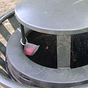 Photo detail