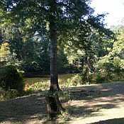 Photo detail