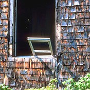 Photo detail