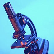 Photo detail