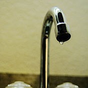 Photo detail